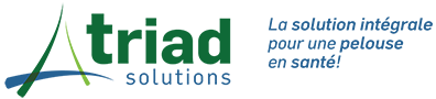 Triad Solutions Logo