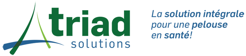 Triad Solutions Retina Logo